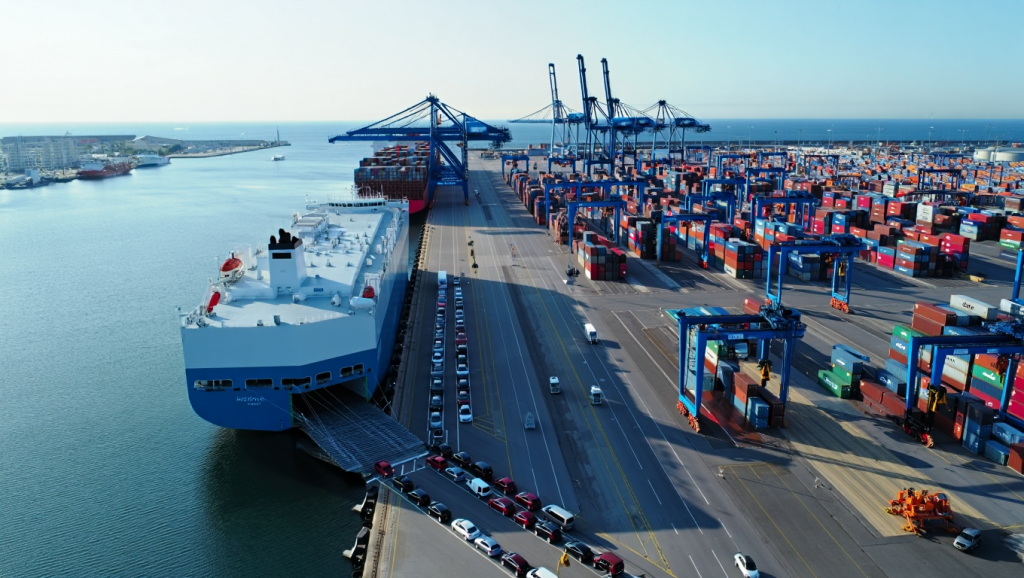 RoRo vs Container: Wann lohnt sich welche Lösung wirklich